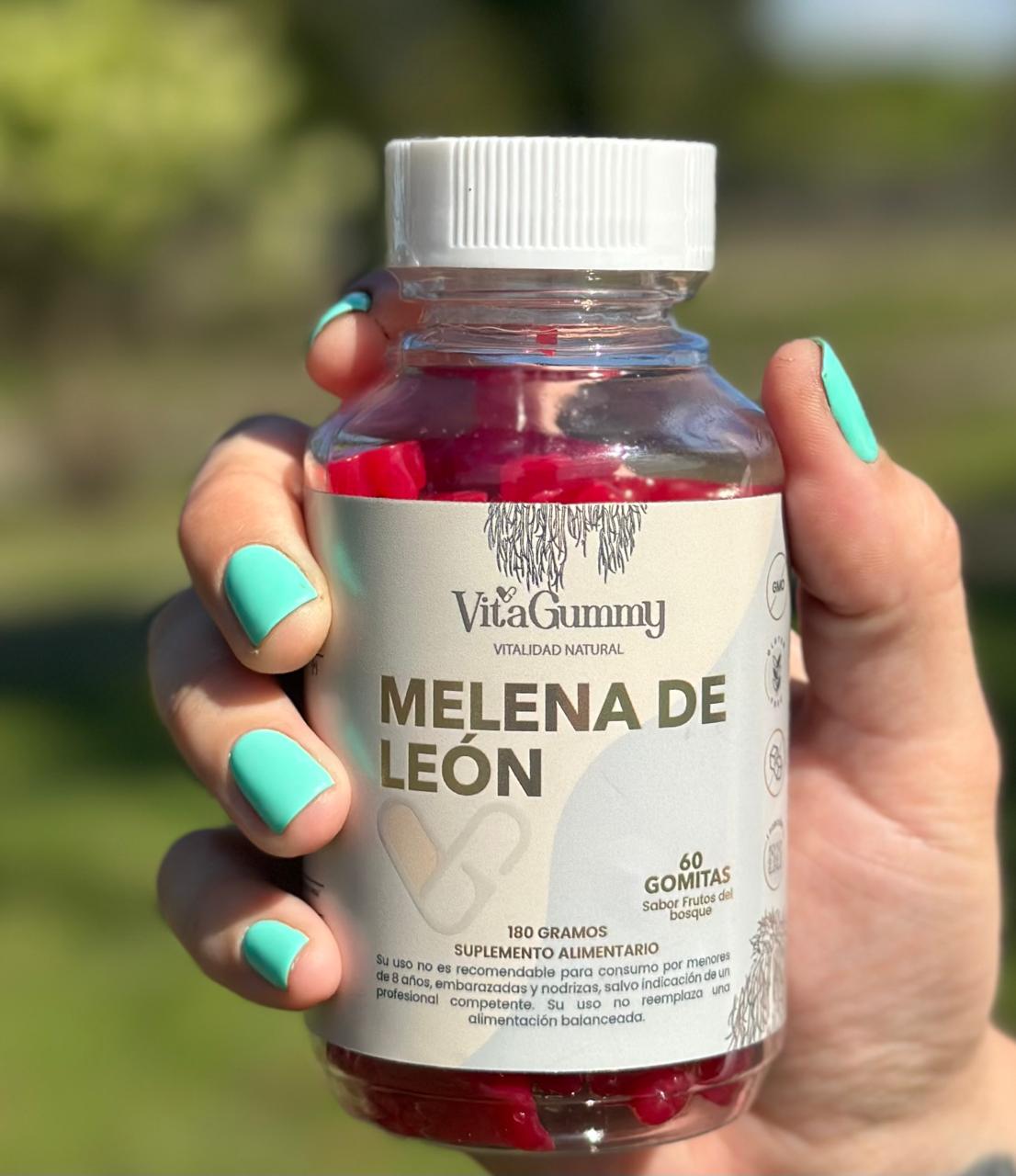Melena de León: el secreto natural para potenciar tu mente y concentración.